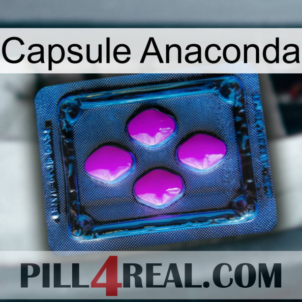 Anaconda Capsule 04.jpg